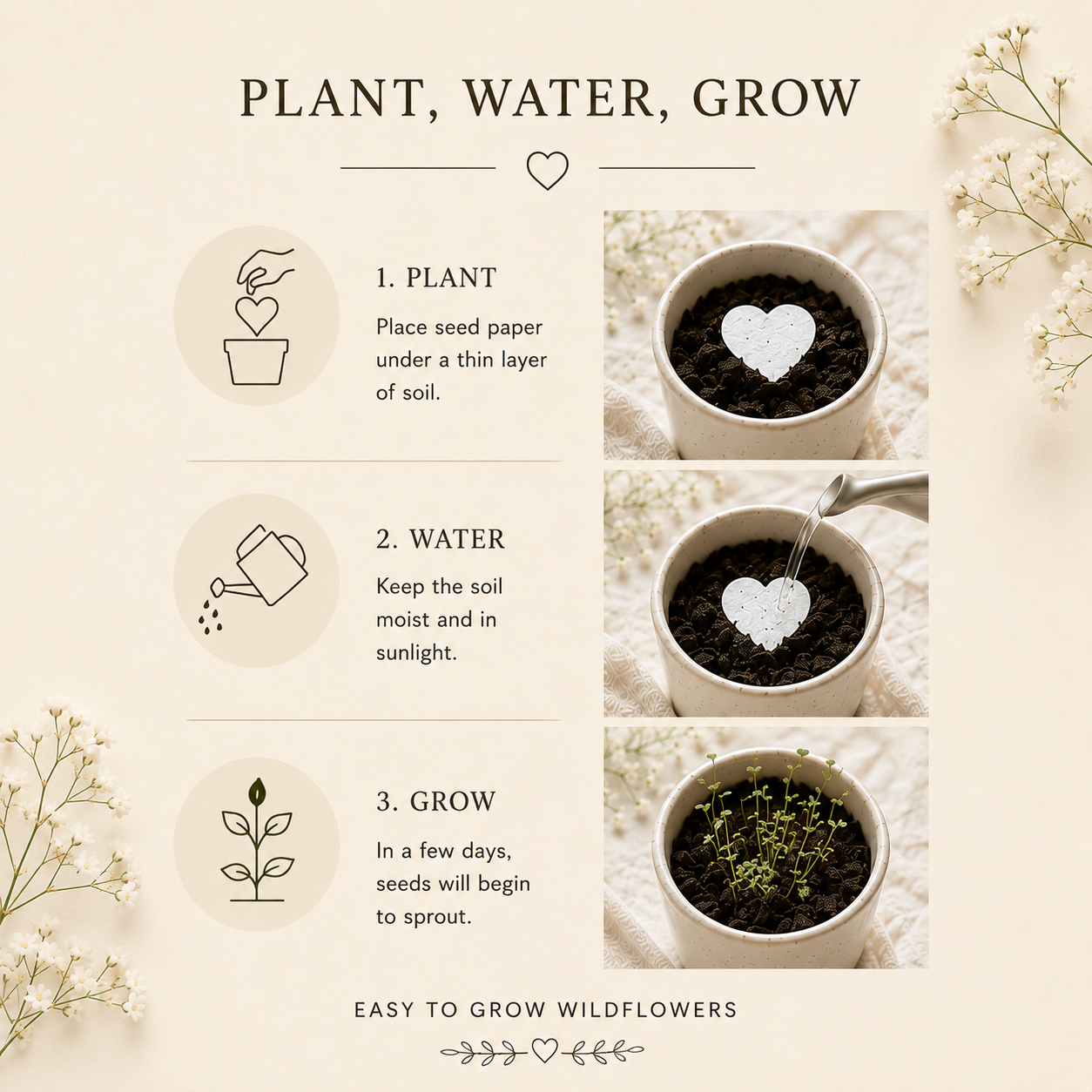 How to plant wildflower seed paper hearts and grow flowers